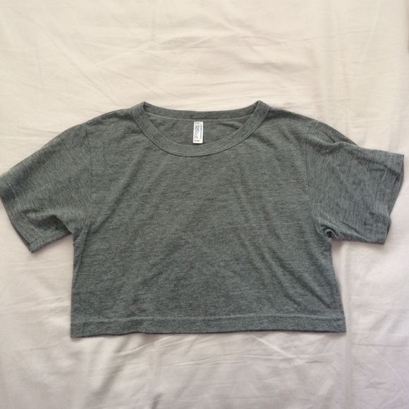American Apparel Gray Cropped T-Shirt