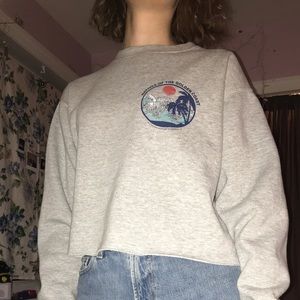 John galt brandy Melville crop top sweater