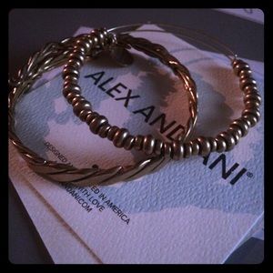 Alex & ani bead Nile