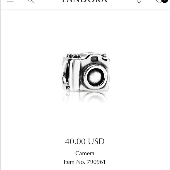 Pandora Camera Charm
