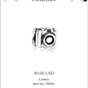 Pandora Camera Charm