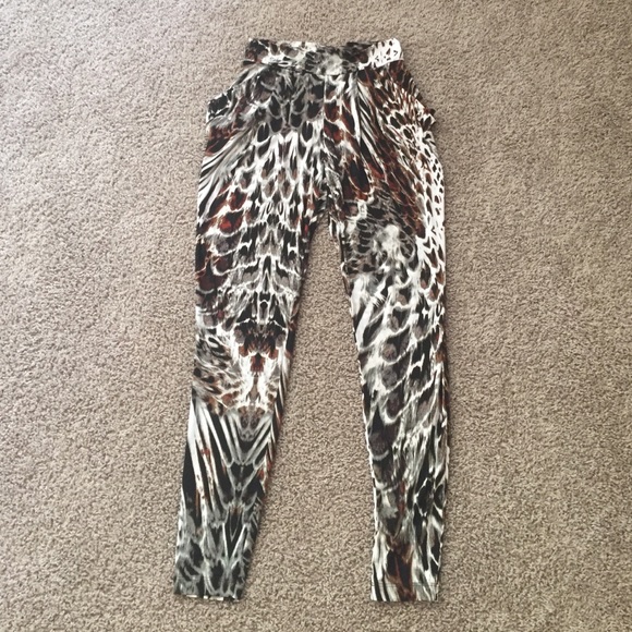 Animal Print Bebe Pants