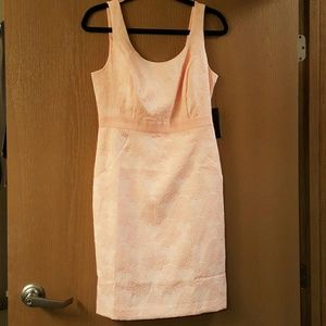 Gorgeous Peach Dress NWT