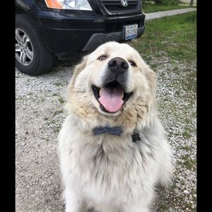 Meet your Posher, Olivia