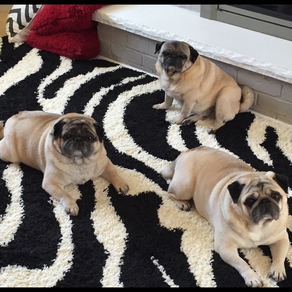 Meet your Posher, Lee Ann.  🎀Top Rated Seller💕 - Picture 4 of 4