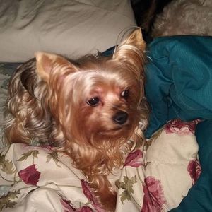 Meet your Posher, Marcelle