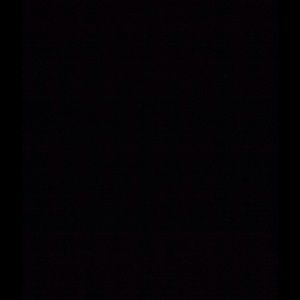 Meet your Posher, Rickalick