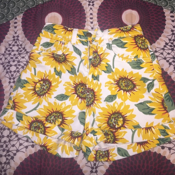 American apparel sunflower shorts SZ 26