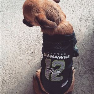 Seahawks pet jersey