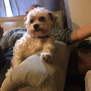 Meet your Posher, Carrie