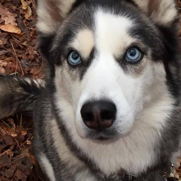 Meet your Posher, Karma