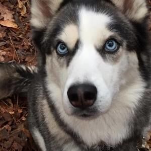 Meet your Posher, Karma