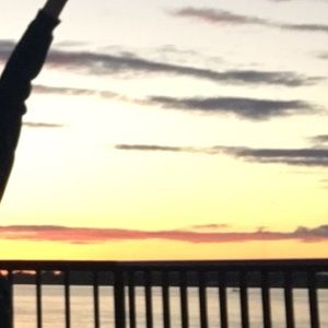 Meet your Posher, Madge