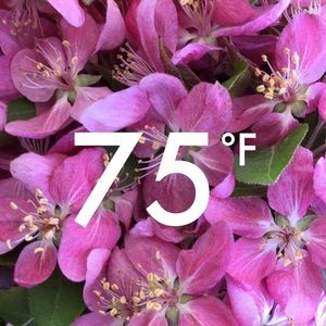 Meet your Posher, Kwong