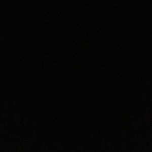 Meet your Posher, Shawnese