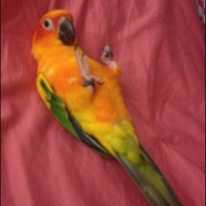 Meet your Posher, Sara