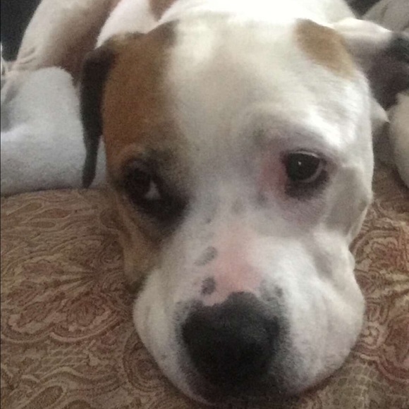 Meet your Posher, Aexandria