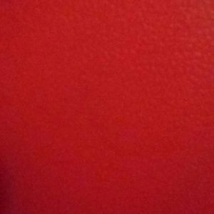 Meet your Posher, Chenelle