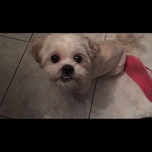 Meet your Posher, Maria