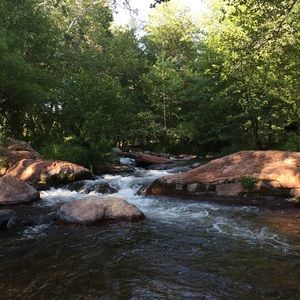 Meet your Posher, Deana