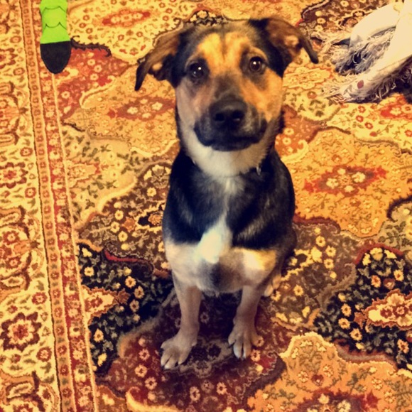 Meet Me! - Picture 4 of 4