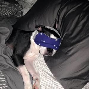 Meet your Posher, Bridget