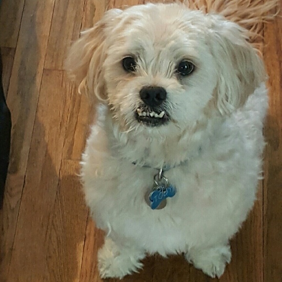 Meet your Posher - Picture 2 of 4