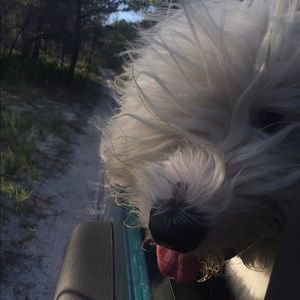 Meet your Posher, Courtney