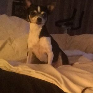 Meet your Posher, Tania