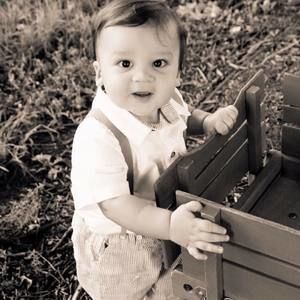 Meet your Posher, Shirley