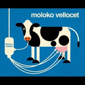 Meet your Posher, Jane