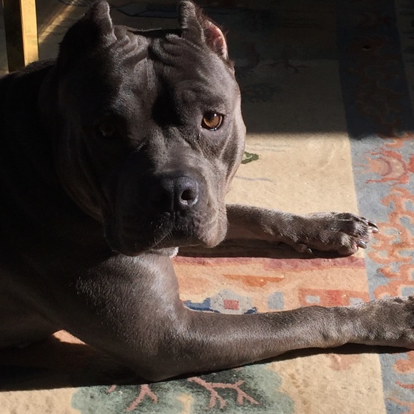 Meet your Posher, Natalie