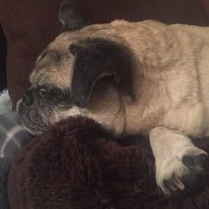 Meet your Posher, Sharon