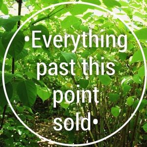 🚫🚫🚫🚫🚫🚫🚫