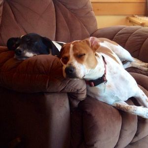 Meet your Posher, Maureen