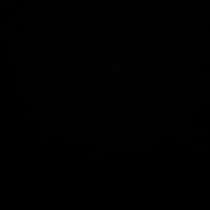 Meet your Posher, Ocarina