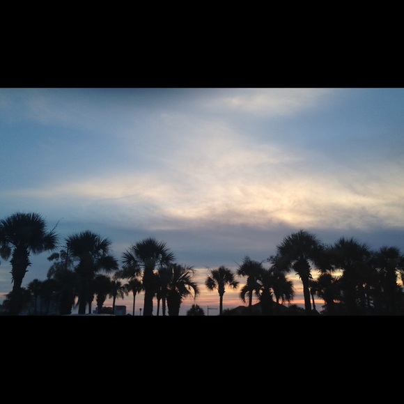 Meet your Posher, Alli - Picture 1 of 1