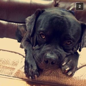 Meet your Posher, Cecia