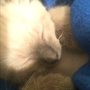 Meet your Posher, Naomi