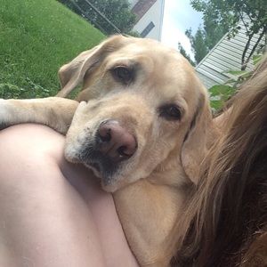 Meet your Posher, Abby