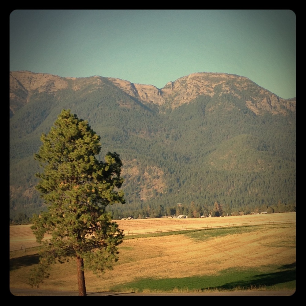 Meet your Posher, Elisabet