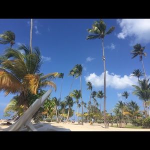 Meet your Posher, Alice