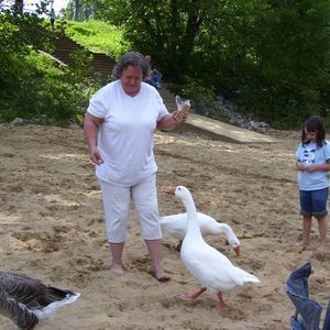 Meet your Posher, Faye