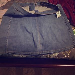 Blue Jean Express Skirt