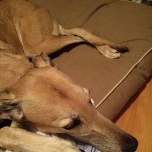 Meet your Posher, Jenifer