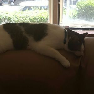 Meet your Posher, Phyllis