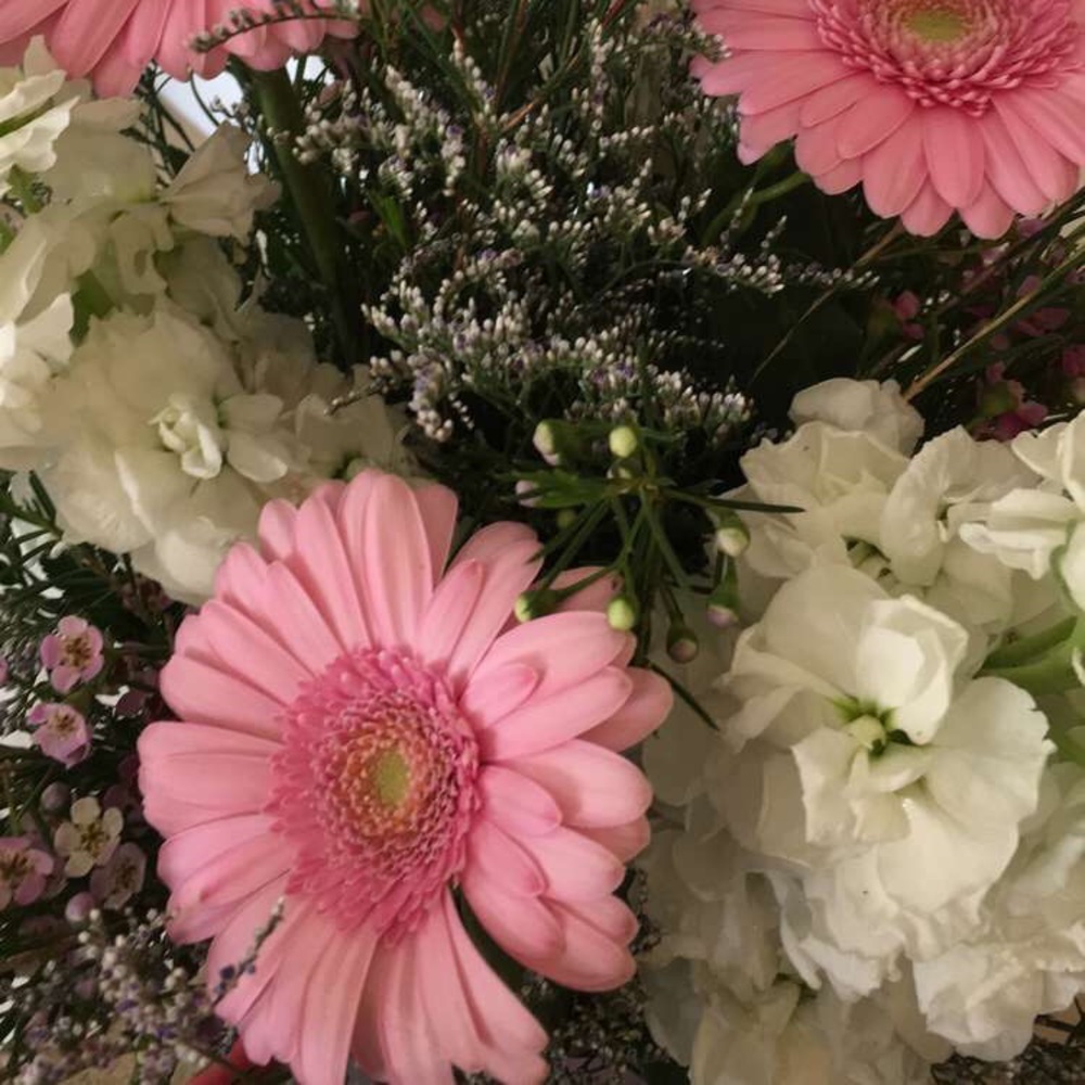 Meet your Posher, Jana