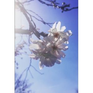 Meet your Posher, Kaycee