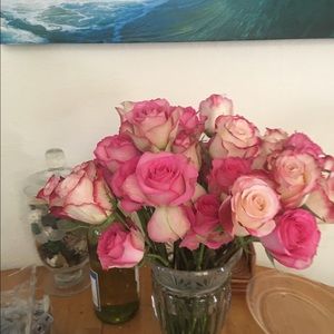 Meet your Posher, Estefania