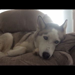 Meet your Posher, Jo